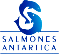 Salmones Antártica